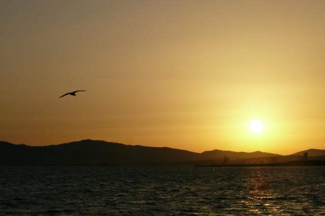Fotografie 1 - La Línea de la Concepción