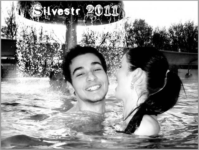 silvestr 2011