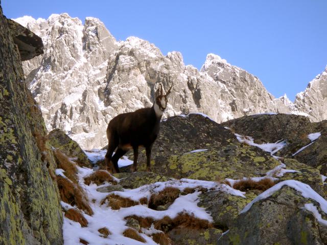 Téryho Chata