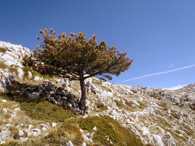 Fotografie 3 - Sveti Jure (1762 m.n.m.)