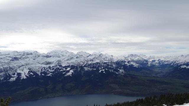 Fotografie 4 - Niederhorn Swiss