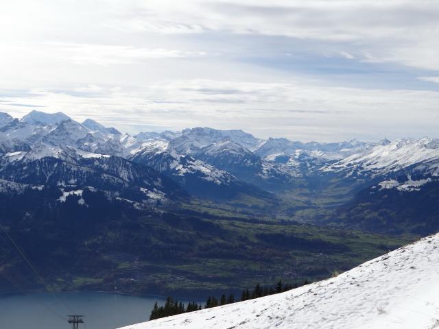 Fotografie 5 - Niederhorn Swiss