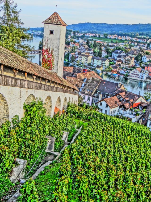 Fotografie 7 - Schaffhausen Swiss