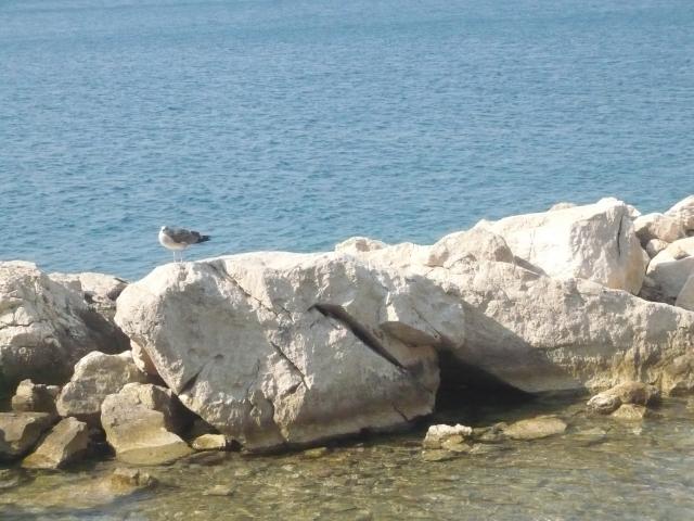 Podaca,Gradac