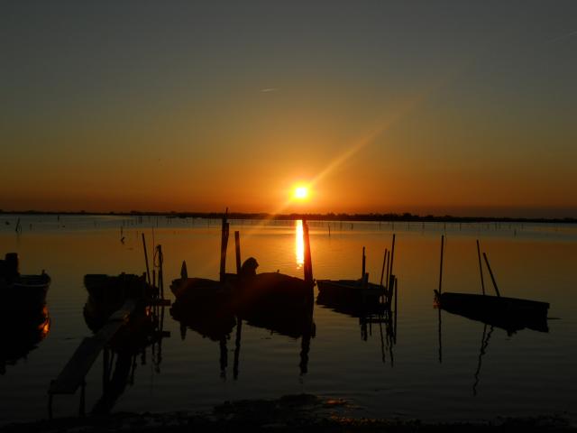 Fotografie 1 - Rosolina Mare
