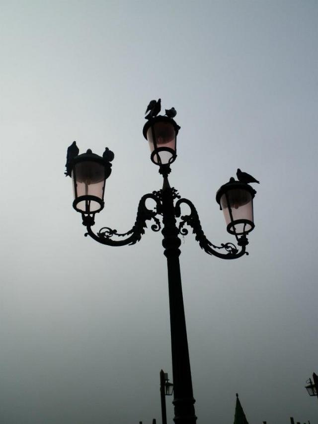 Fotografie 1 - Benátky