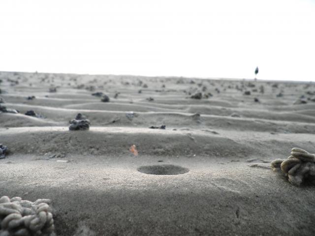 Norddeich