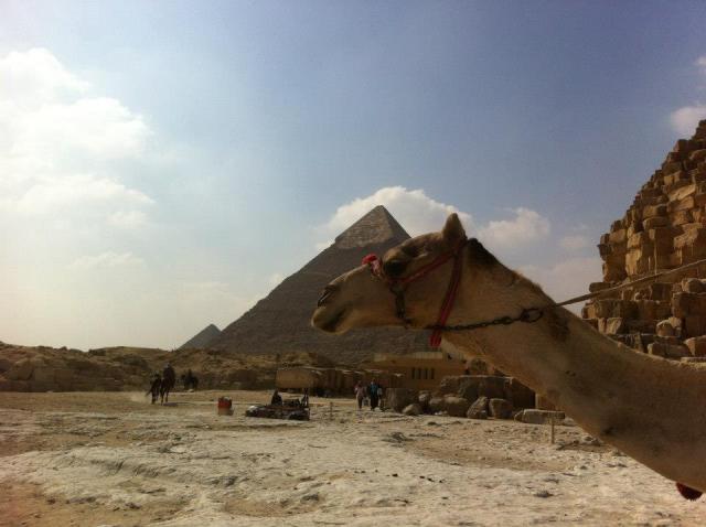 Fotografie 3 - Giza (Egypt)