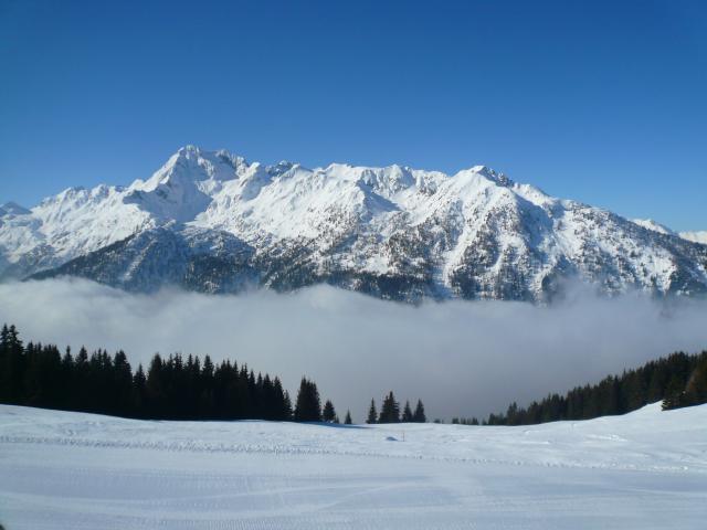 Aprica