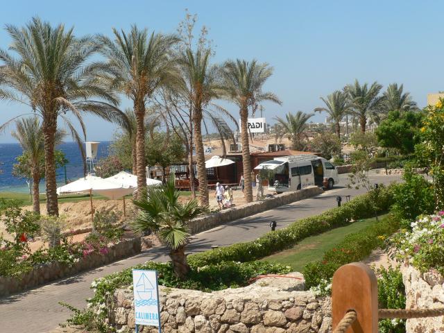 Fotografie 7 - Egypt Sharm El Sheikh 2009