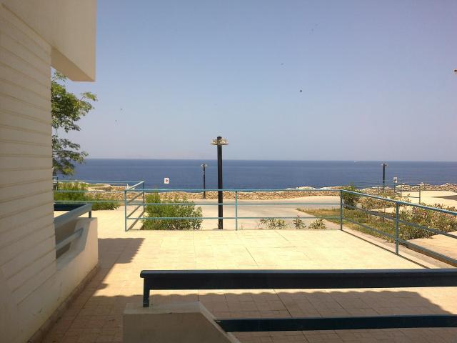 Fotografie 3 - Egypt- Sharm El Sheikh- 2012- Dreams Bea