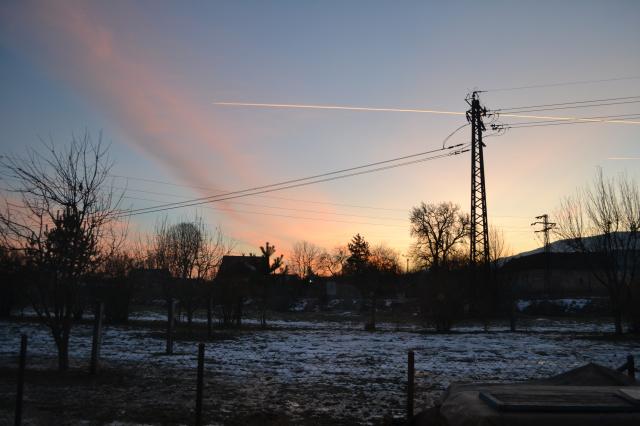 Domov
