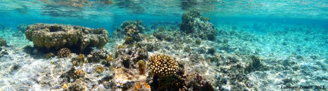 Fotografie 3 - Marsa Alam - Resta reef