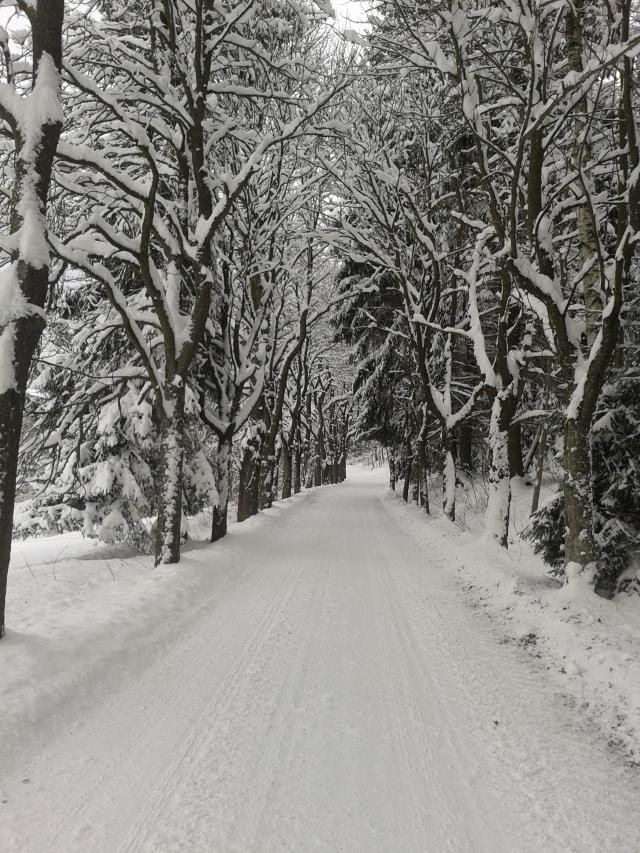 Kašperské Hory